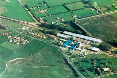 Cambridge Dairy Factory Hautapu 1976