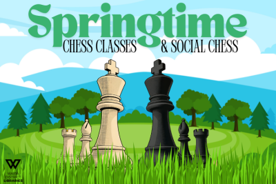 Springtime Chess Lessons at Te Awamutu Library