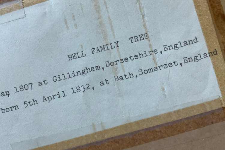 Bell Family Tree